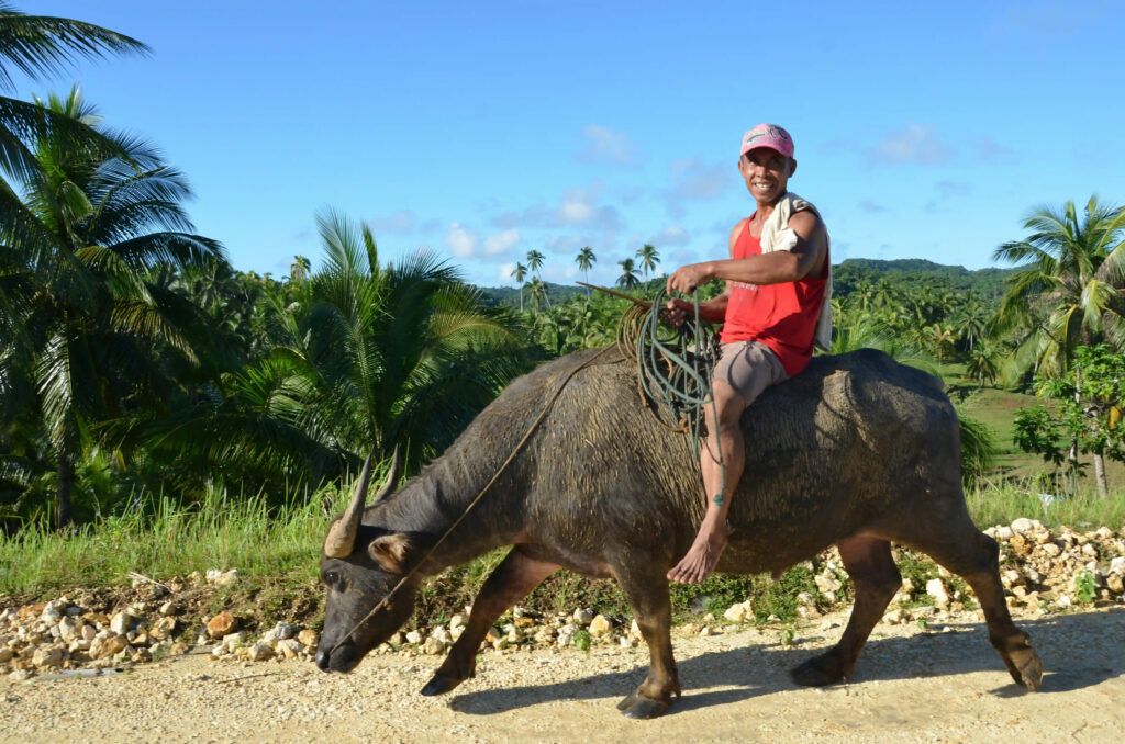 Daily Philippines - Every day, everything, Philippines! - Your daily guide to travel, culture, and life across the Philippines.